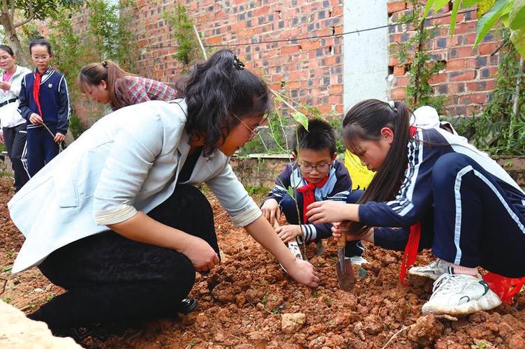 小学教师和学生一起在户外观察植物做课题研究