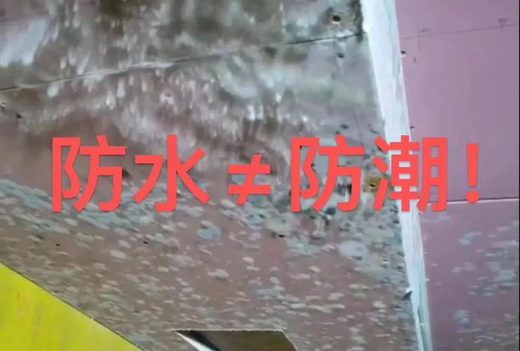 三、施工与防潮:这些坑别踩