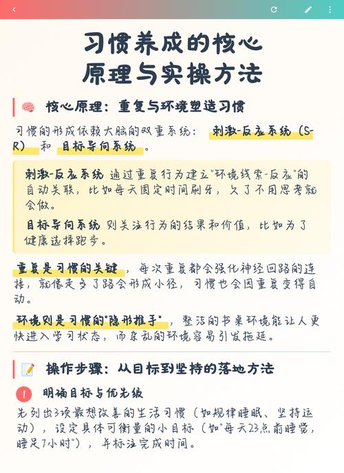 一周拉回正确习惯的实操