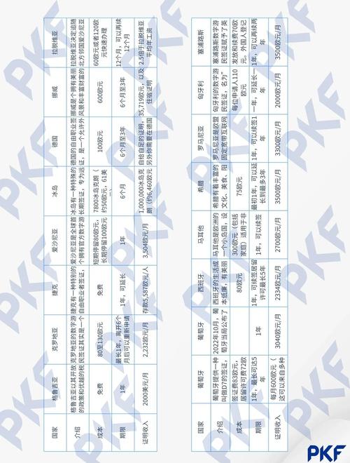 各国数字游民签证对比表格示意图