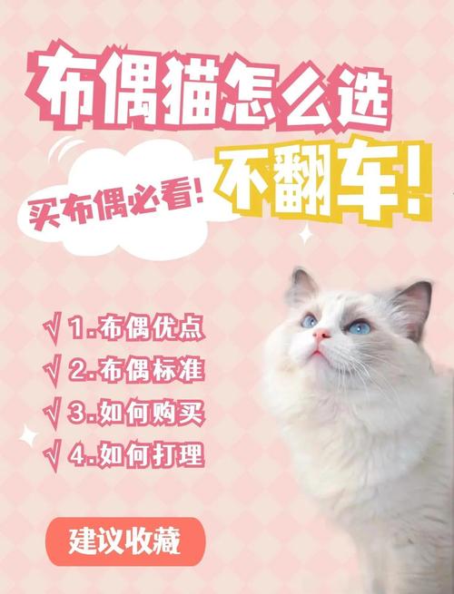 按你家猫的情况挑，比买贵的管用