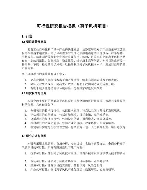 模板化项目可行性研究报告内页