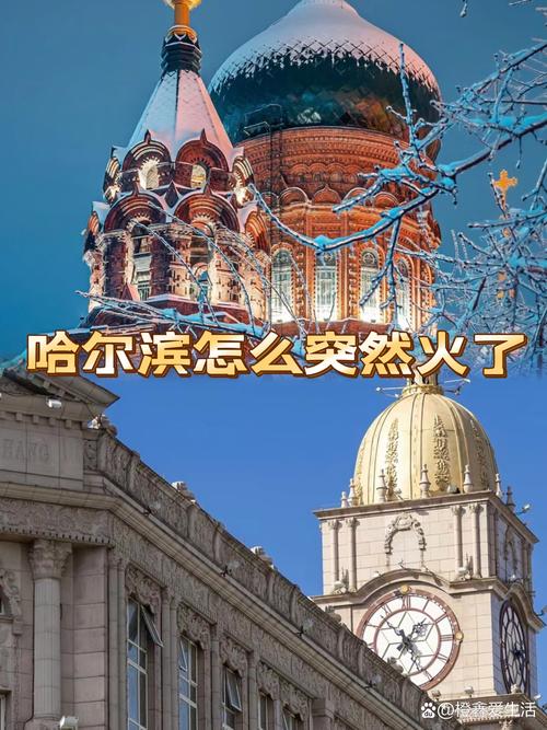怎么突然就火遍国内了？