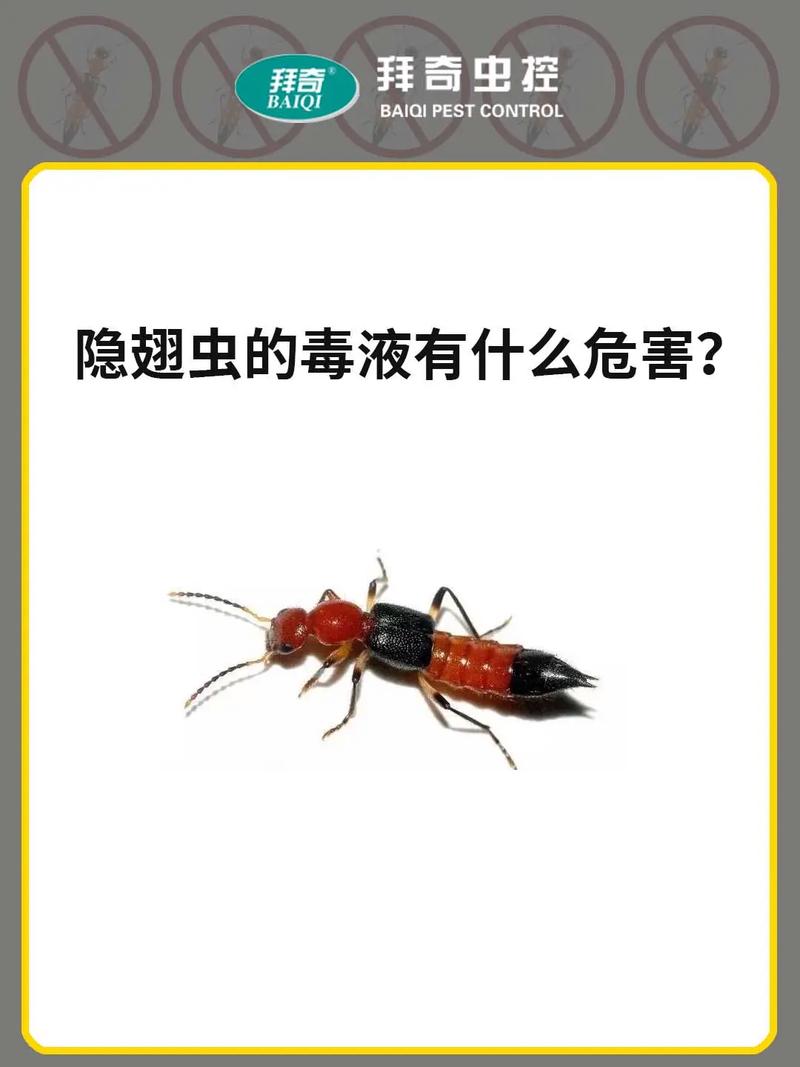 化学毒物:隐形中的隐形