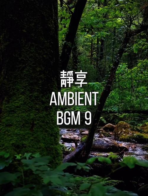 不同人群，都能从舒适的静音环境里获益