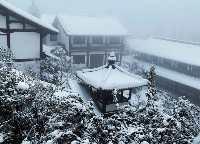 杭州冬季雪后茶园小径