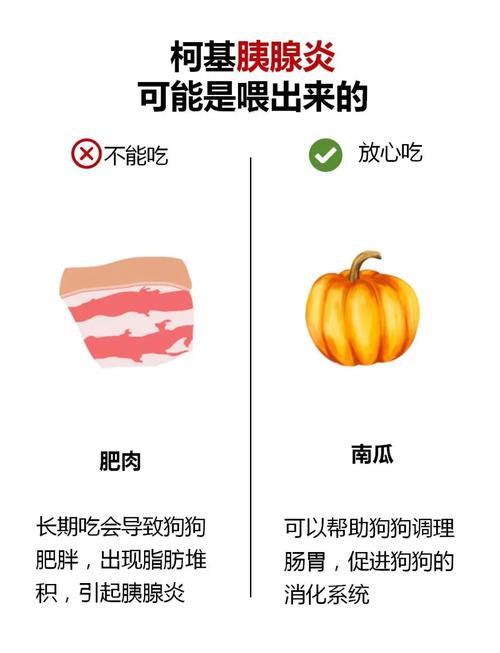 犬胰腺炎日常饮食禁忌对照表