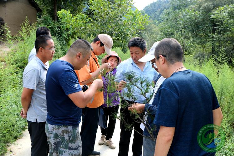 森林保险工作人员山林定损场景