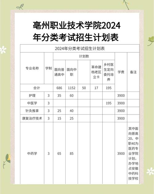 2024全国高职升学招生计划统计表格