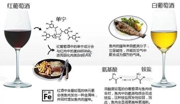 红酒单宁分子与唾液蛋白结合示意图