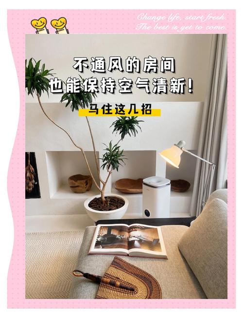 屋里别太干，也别闷着不通风