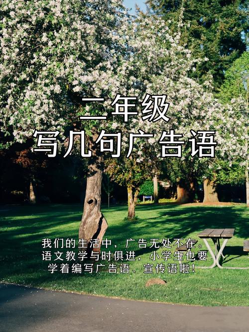 写在最后——真的不是广告