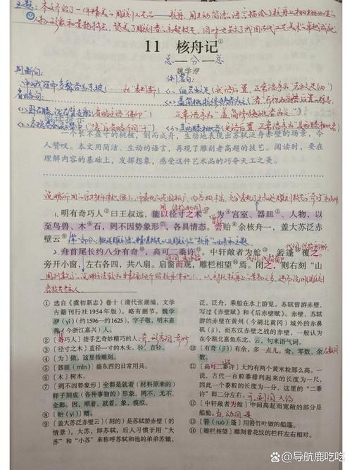 学生拿着半块核桃壳对照核舟记课文的课堂场景