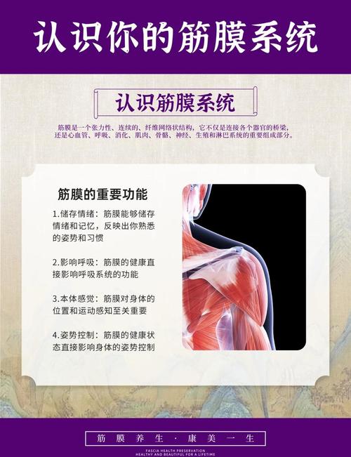 这几种情况,别硬扛着用筋膜球