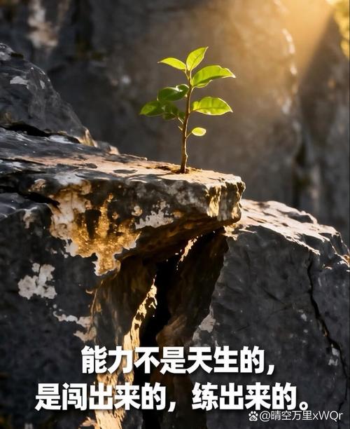 别等“准备好”，能力都是练出来的