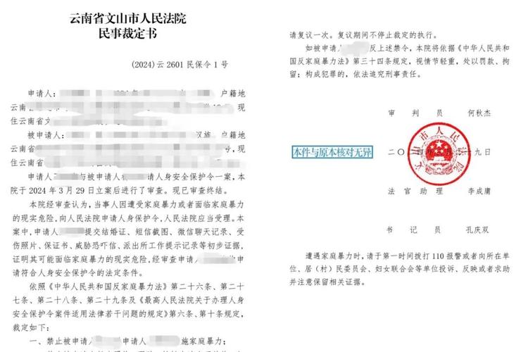 人身安全保护令 法院立案 家暴求助