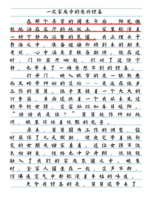 二、一个让我惊喜的意外