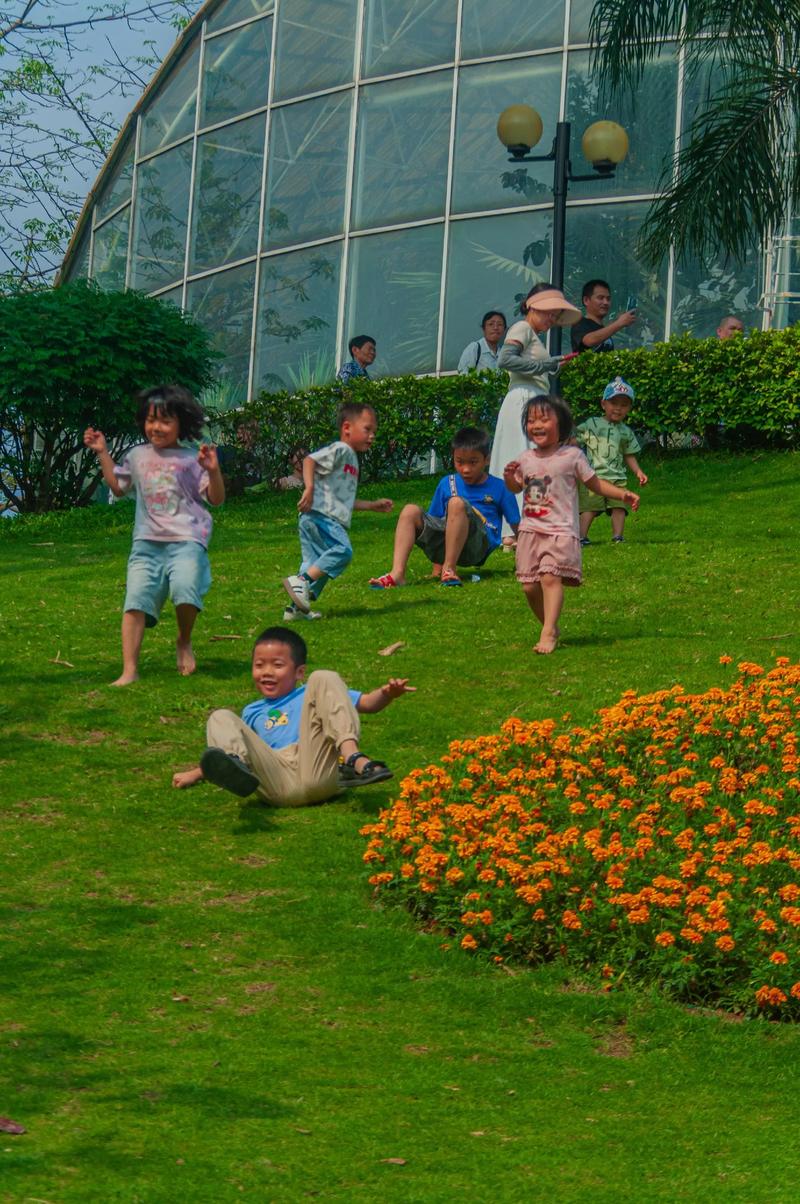 学前教育迷思:抢跑真的能赢在未来吗?-如东教育网