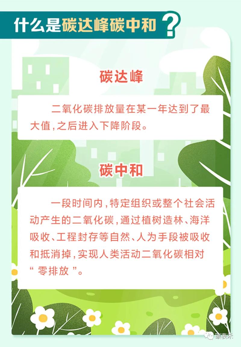 各种“降碳”手段的局限