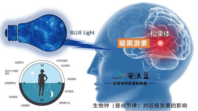 蓝光抑制褪黑素分泌原理示意图