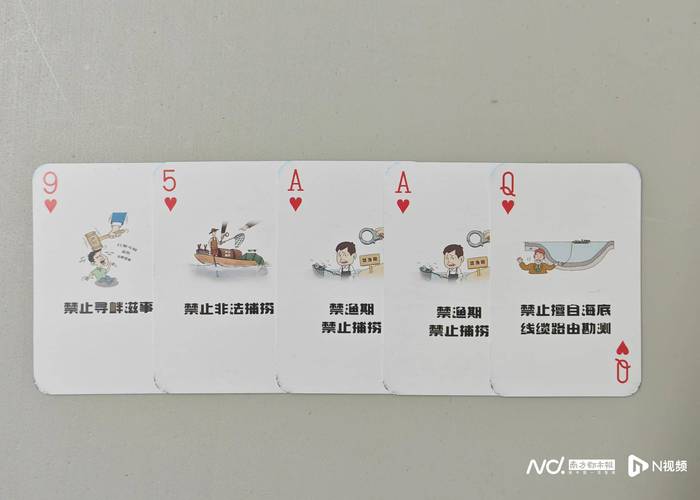 法律底牌：就这四张