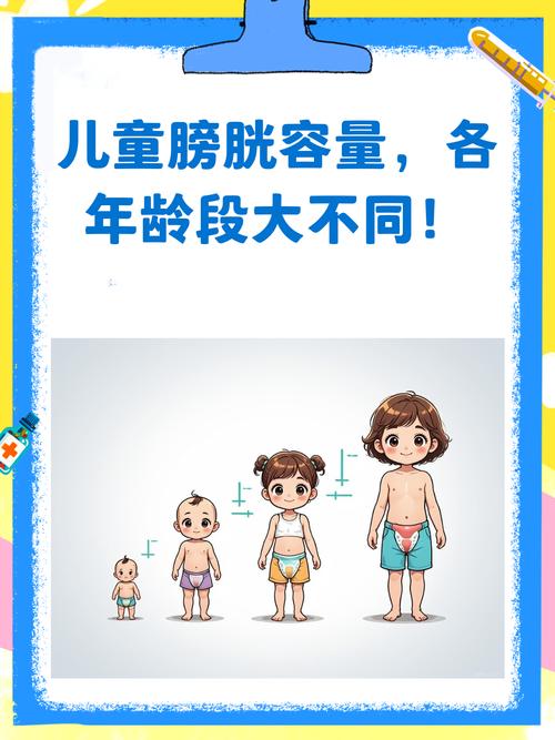 不同年龄段儿童膀胱括约肌发育对比图