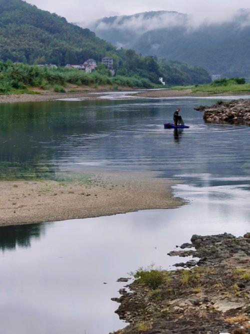 富春江支流生态修复后原生植被实景图