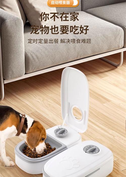 家庭客厅打翻一地狗粮的狗狗自动喂食器