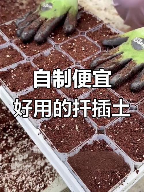 和泥土较劲这些年，说点真心话-因为所以
