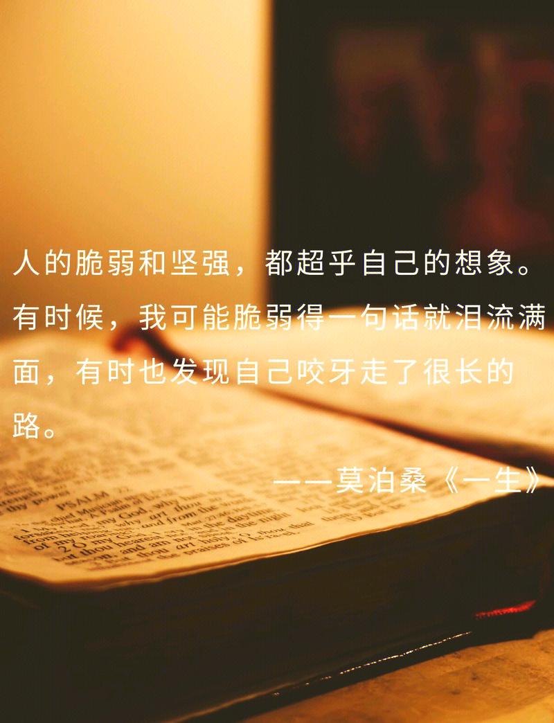 它比你想象的脆弱,也比你想象的皮实