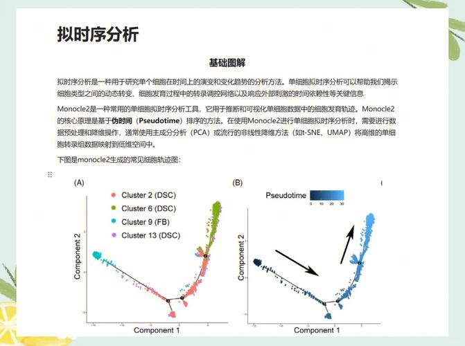 四、时序分析的下一个战场:物理感知