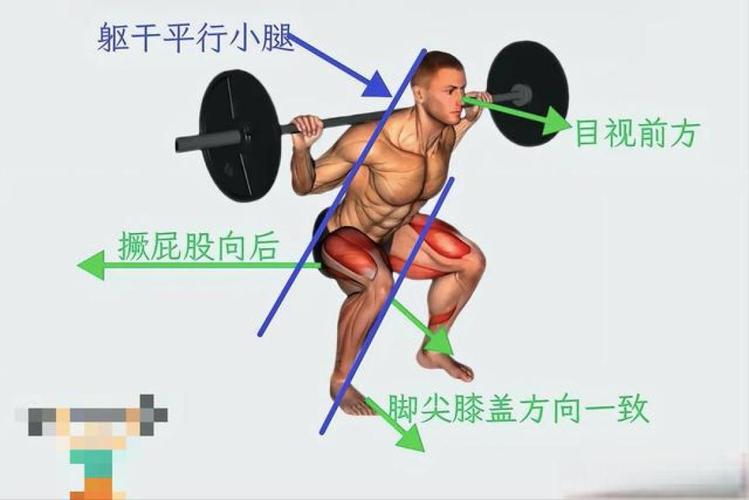 深蹲膝关节过脚尖与不过脚尖受力对比示意图