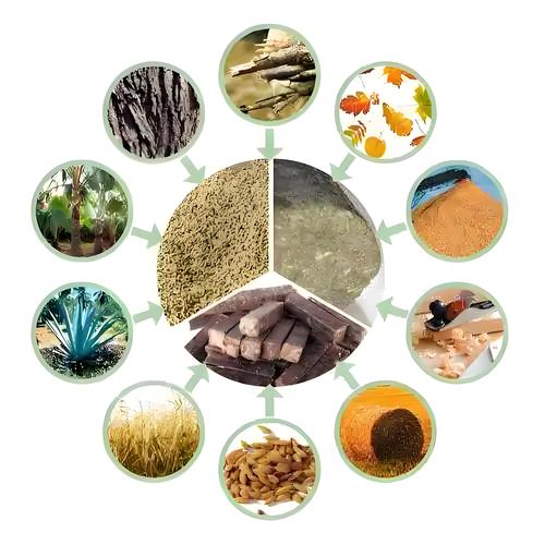 生物质转化：卡脖子的从来不是原理
