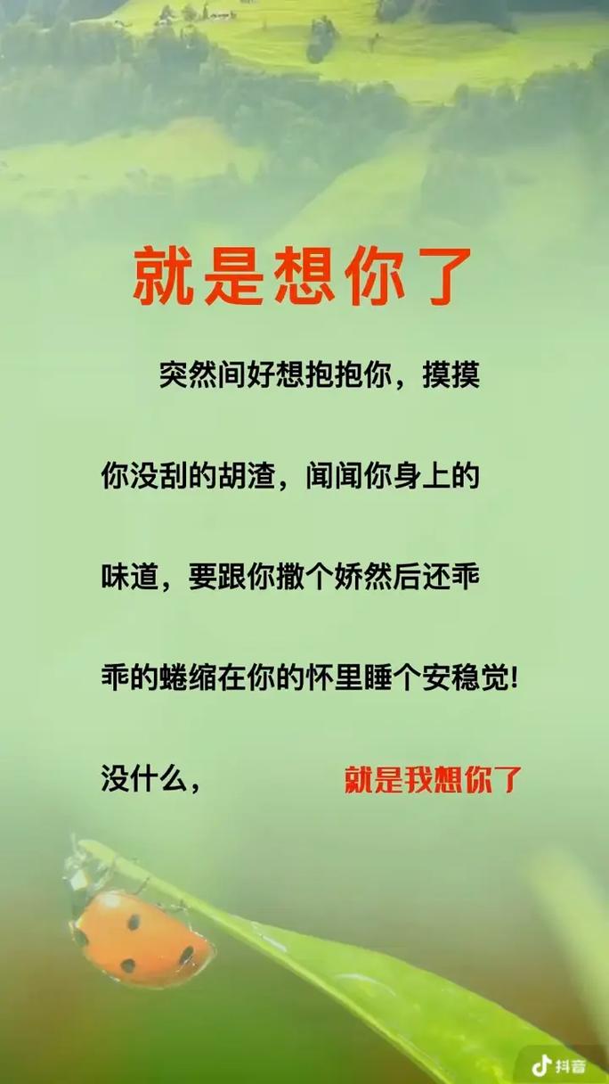 想安稳同居不踩坑，直接抄作业就行