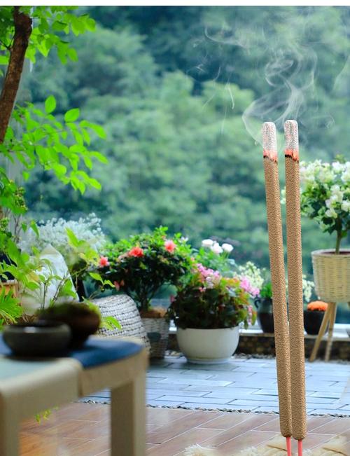 庭院窗边种植艾草驱蚊实景图