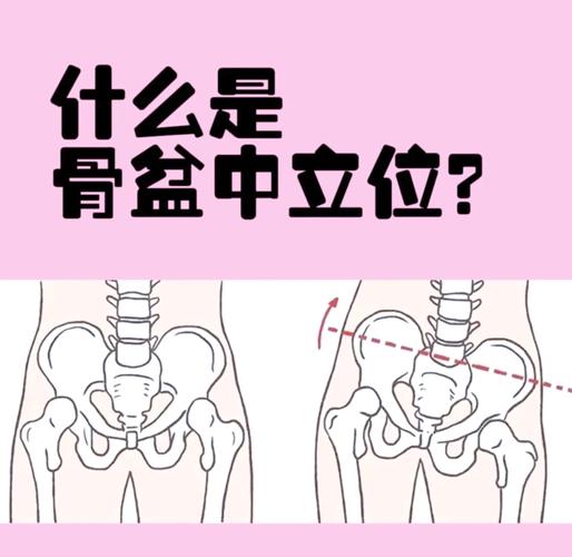 正确站立姿势骨盆中立位示意图