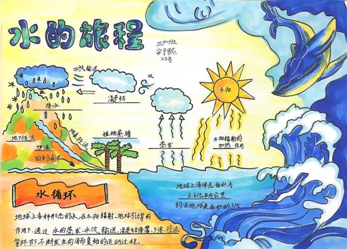 亲子手绘儿童水循环观察笔记