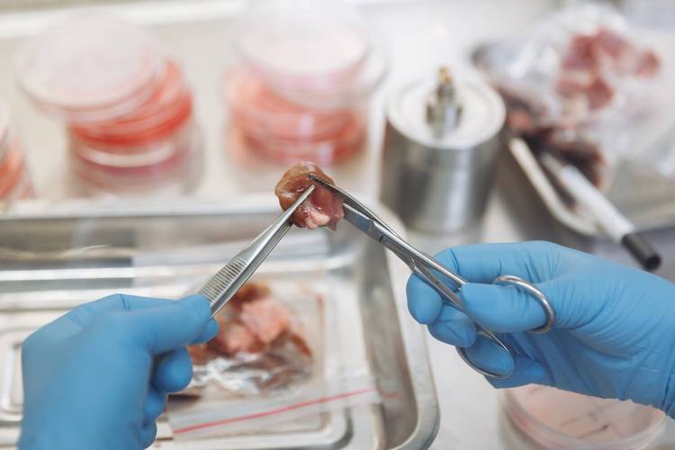 家庭自制宠物鲜食生肉微生物检测图