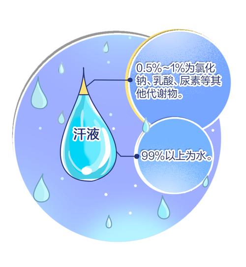 人体汗液成分组成科普示意图