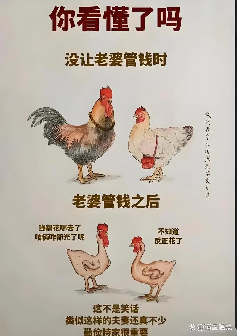 不同情况直接对号入座，不用自己瞎琢磨