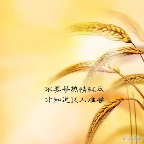 维护：别等坏了再后悔