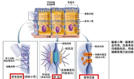 绳索,拴住我命的那个玩意儿-因为所以