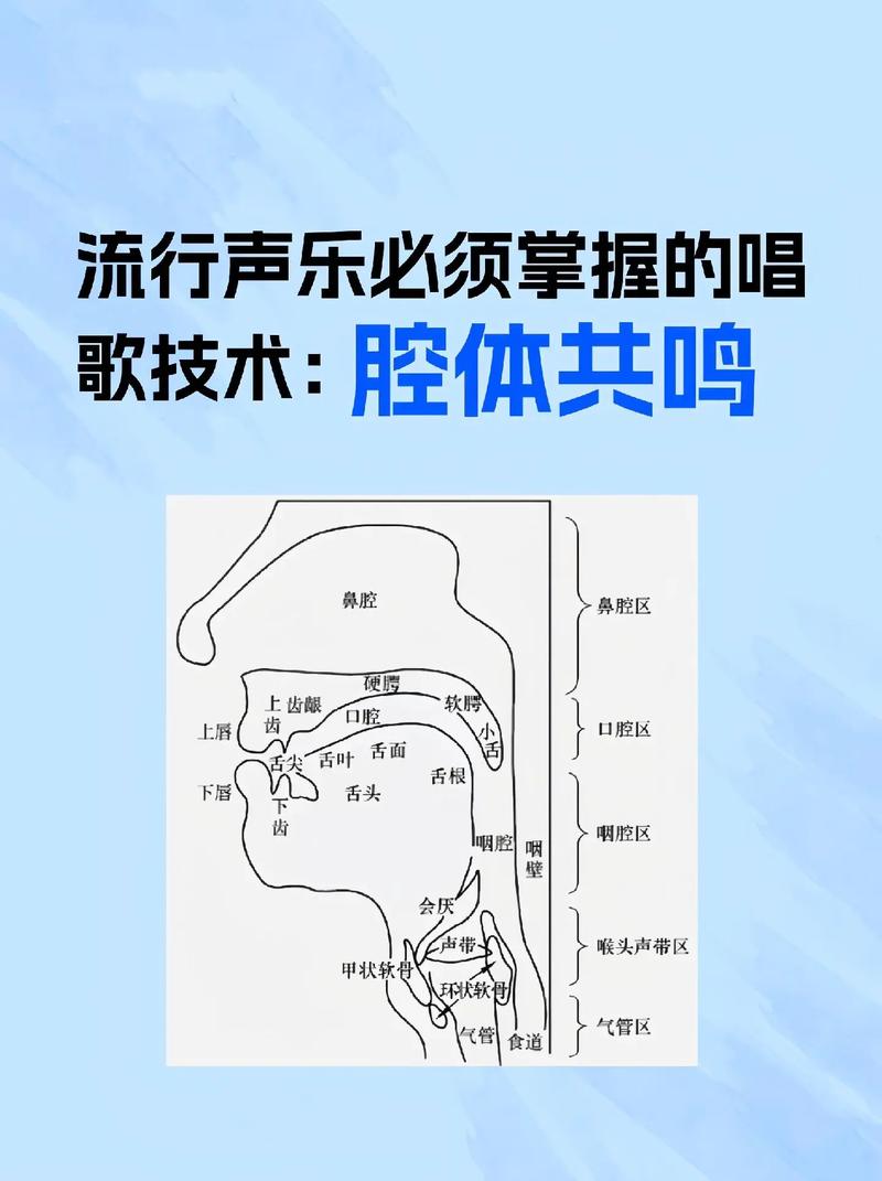 流行唱法混声共鸣位置示意图