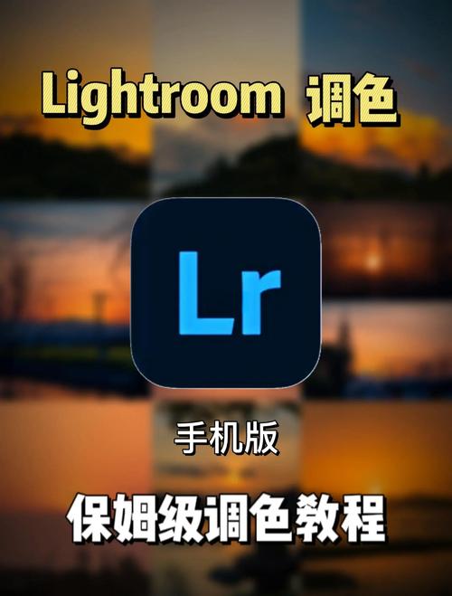 手机版Lightroom修图前后对比界面