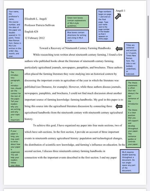LSAT Argumentative Writing sample prompt on online testing interface