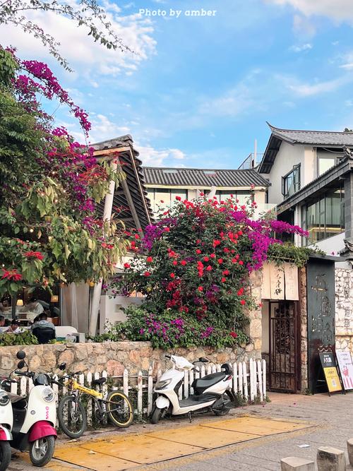大理菜市场后巷三角梅院落
