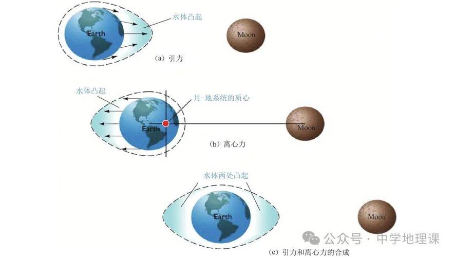 地球潮汐椭圆示意图 引潮力