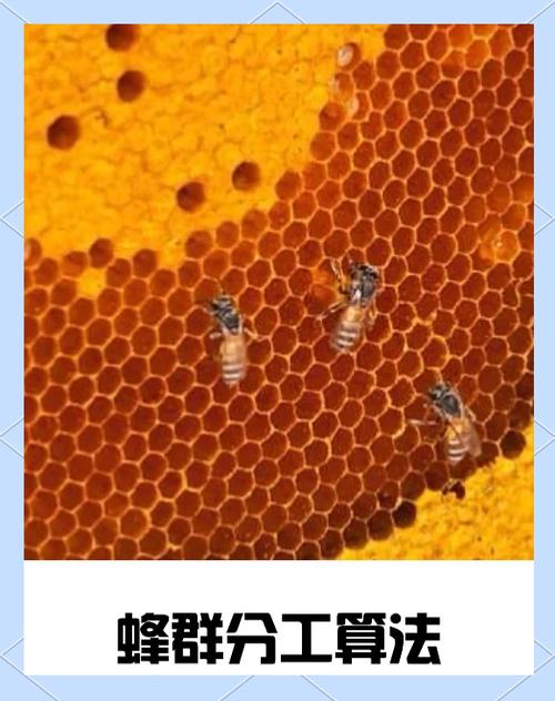 蜂群不是凑数飞队形，实用化才是真目标