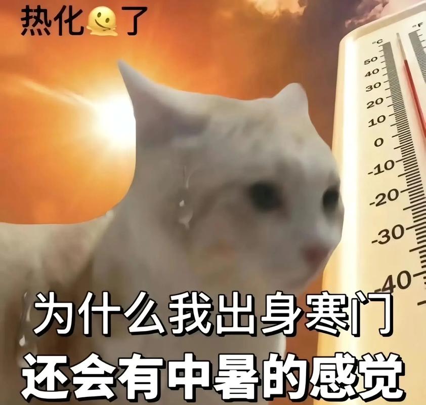 网络热梗情绪共鸣表情包