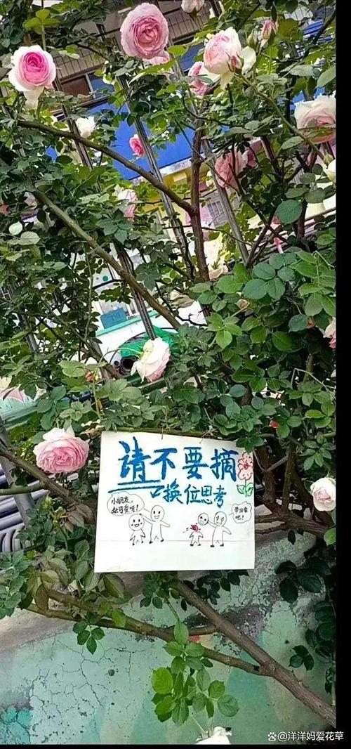 那个开咖啡馆的小伙子栽了啥坑